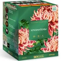 Фейерверк Хризантемы. Купить Фейерверк Хризантемы Z1032 — магазин продажа салютов недорого —  Орск, производитель Русский фейерверк - Русская пиротехника, доставка по России  +7 963 711 89 03 — Орск | orsk.piroclub.ru